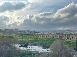 زهرة المدائن
