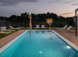 Luxury Villa David's - two heated pool