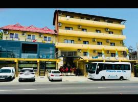 Pensiunea Domneasca, penzion v destinaci Piteşti