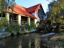 Pensiunea Moara Lu Antone