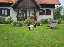 Siedlisko w Starym Sadzie