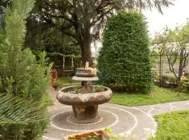 Il Pino Argentato