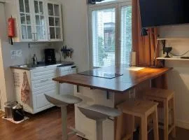 Moderni asunto vanhassa talossa - Modern apartment at the heart of Turku