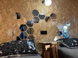 Eco-friendly beach house