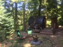 Unique & serene 1-Bed Cabin close to Domfront