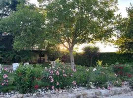 Assisi, la Noce