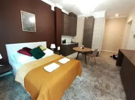 Luxury Apartment - Rakowicka R15