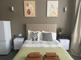 Modern huge double room with private bathroom in Colindale