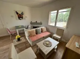 Magnifique appartement T3 rénové avec goût au coeur des vignes