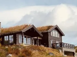 New, cozy, and comfortable cabin in Geilo