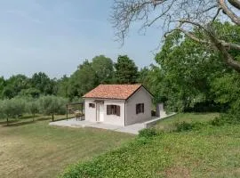 VILLA CELESTINA, Majkusi