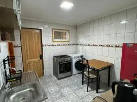 Depto Interior Eckhardt II