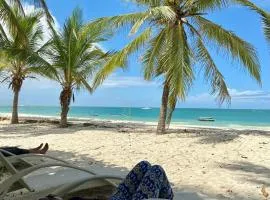 Golden Sun and Sand Studios