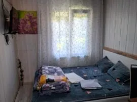 Svečių namai pas Neila dvivietis NL