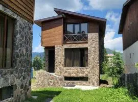MaRKoS Cottages in Bakuriani