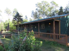 Best Bear Lodge, hotel in Irons