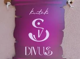 Apartman "Kutak DIVUS"