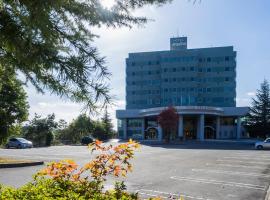 Hotel Areaone Hiroshima Wing, ubytování s lázní onsen v destinaci Higaši Hirošima