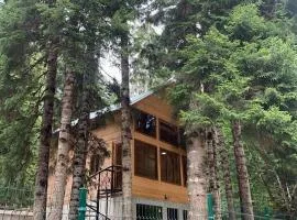 allone in the forest მარტო ტყეში