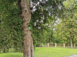 Camper and tent place in Jelgava, camping in Jelgava