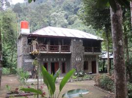 Rinte Green Village & Bukit Lawang Jungle Trekking，武吉拉旺的Villa