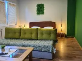 Veljanov Apartment 1