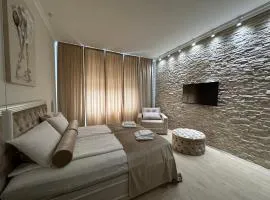 Apartman Modena Novi Sad