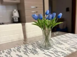 Acquamarina home