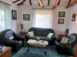 Zoja Apartman Vlasinsko Jezero, hotel v destinaci Šerdanova Mahala