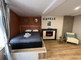 LE CATELE - Studio RIOM - 3 pers - Vulcania - Puy de Dôme - Proche Clermont Ferrand