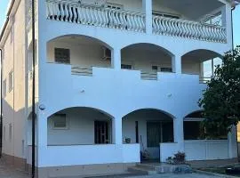 Apartments with parking space Vir - 23444