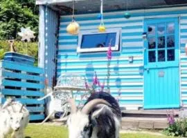 Treguth Glamping Unique Experience - Themed Huts