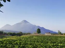 Avila Ketapan Rame Hotel