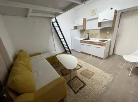 Studio apartman Bišće