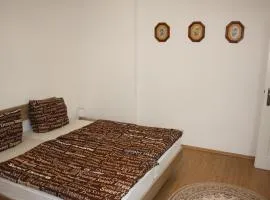 Zwei-Zimmer-Wohnung im Zentrum