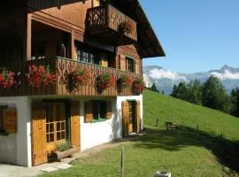 Chalet Marie Paradis vue Mont Blanc
