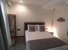 ZEN STUDIO Iv