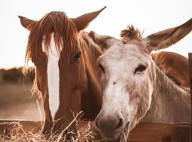 Quinta das Caçadoras - Animal lovers only