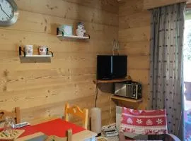 À louer 2 pièces au pied des pistes, déco soignée, parking - FR-1-573-101