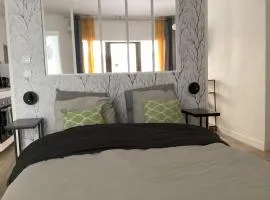 A3 Bel appartement lumineux au Rdc