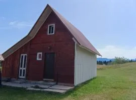 Under Milky Way