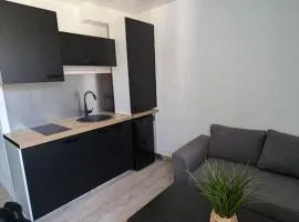 Studio-centre-ville