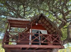Casa del Árbol Barra la Saladita