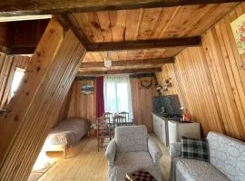 The Cottage in the Mountains