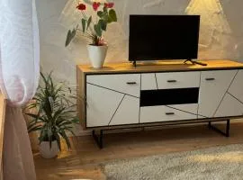 Apartment Balingen City