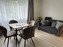 Suuremõisa Holiday Apartment with Sauna