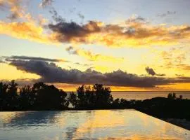 Luxury Penthouse with Infinity Pool & Stunning Sea View