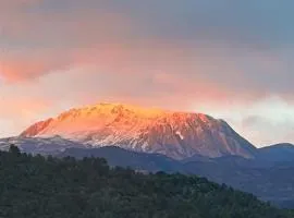 Montevista