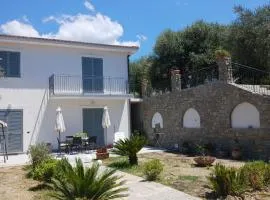 villa tra uliveti e mare