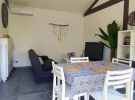 Maison climatisée proche du lac